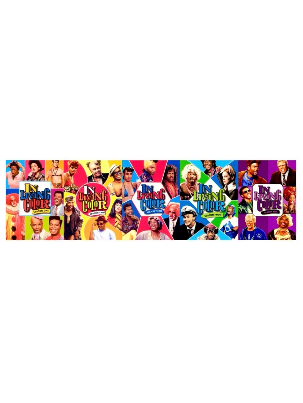 In Living Color: Seasons 1-5 (DVD, 1990, 16-Disc Set)